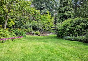 Optimiser l'expérience du jardin à Artaise-le-Vivier